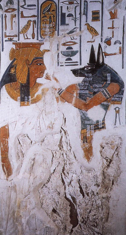 anubis8