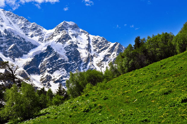 поехать в домбай фото